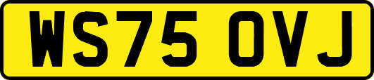 WS75OVJ