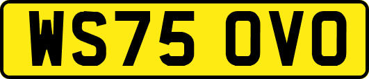 WS75OVO