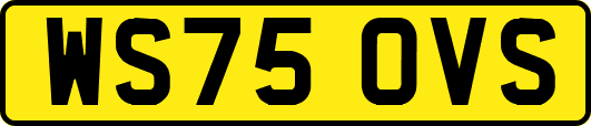 WS75OVS