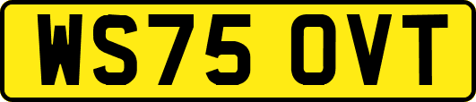 WS75OVT