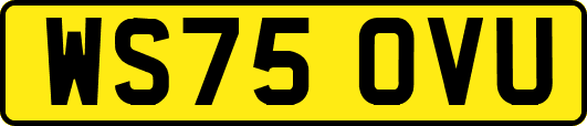 WS75OVU