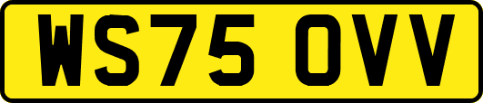 WS75OVV