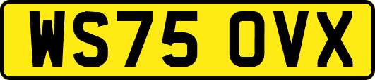 WS75OVX