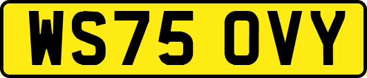 WS75OVY
