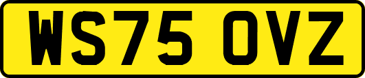 WS75OVZ