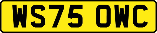 WS75OWC