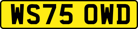 WS75OWD