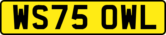 WS75OWL