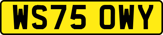 WS75OWY