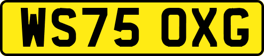 WS75OXG