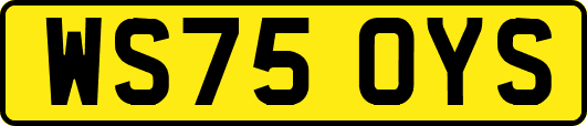 WS75OYS