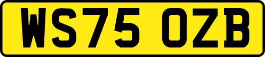 WS75OZB
