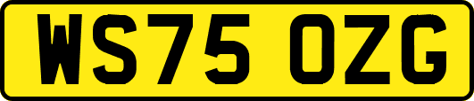WS75OZG
