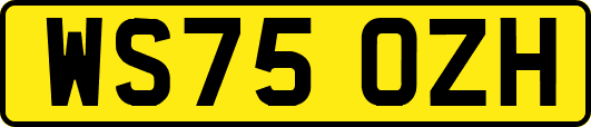 WS75OZH