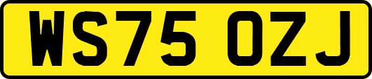 WS75OZJ