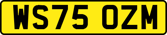WS75OZM