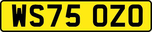 WS75OZO