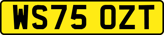 WS75OZT