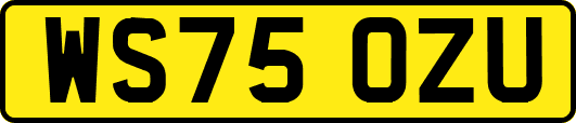WS75OZU