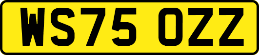WS75OZZ