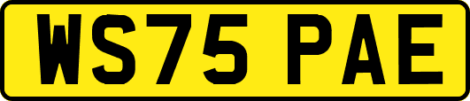 WS75PAE