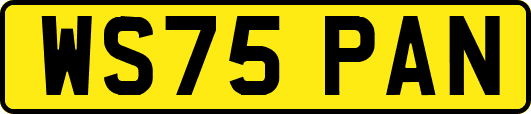 WS75PAN