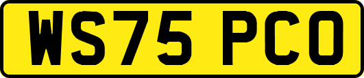 WS75PCO
