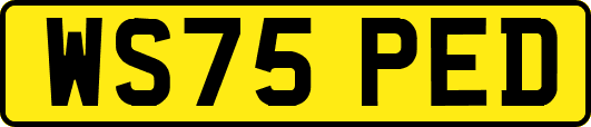 WS75PED
