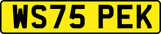 WS75PEK