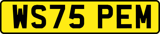 WS75PEM