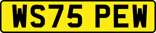 WS75PEW