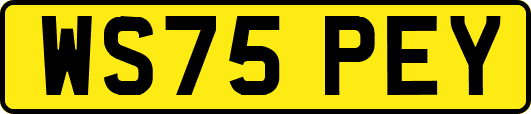 WS75PEY