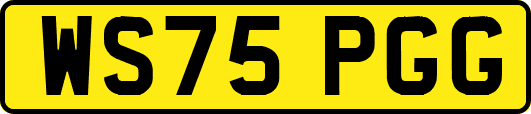 WS75PGG