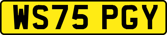 WS75PGY