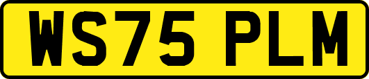 WS75PLM