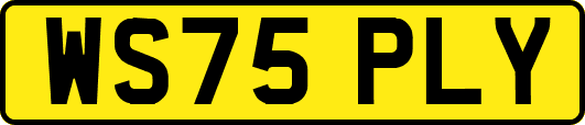 WS75PLY