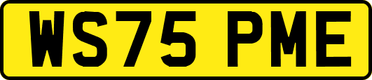 WS75PME