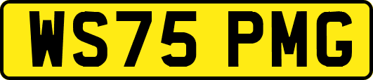 WS75PMG