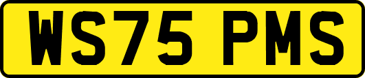 WS75PMS