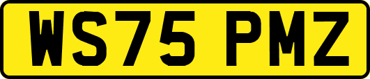 WS75PMZ