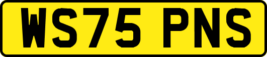 WS75PNS