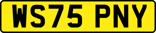 WS75PNY