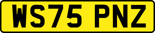 WS75PNZ