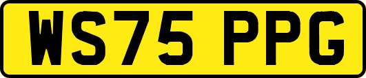 WS75PPG