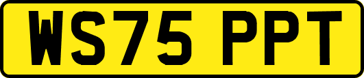WS75PPT