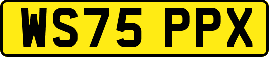 WS75PPX
