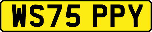 WS75PPY