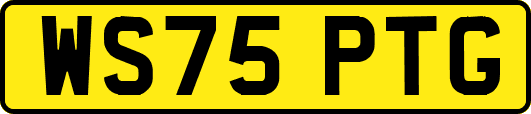 WS75PTG