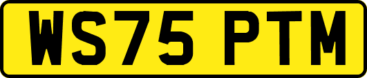 WS75PTM
