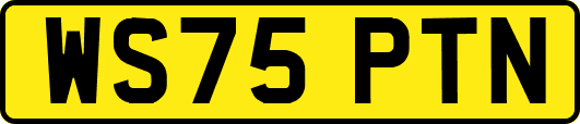 WS75PTN